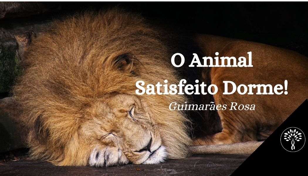 Mario Sergio Cortella – O ANIMAL SATISFEITO DORME