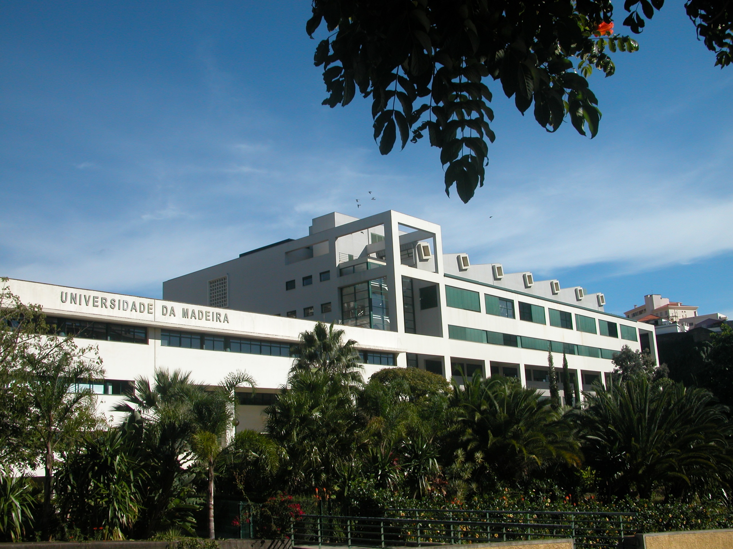 Morar em Funchal e estudar na Universidade da Madeira