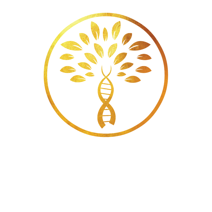 DNA Cidadania