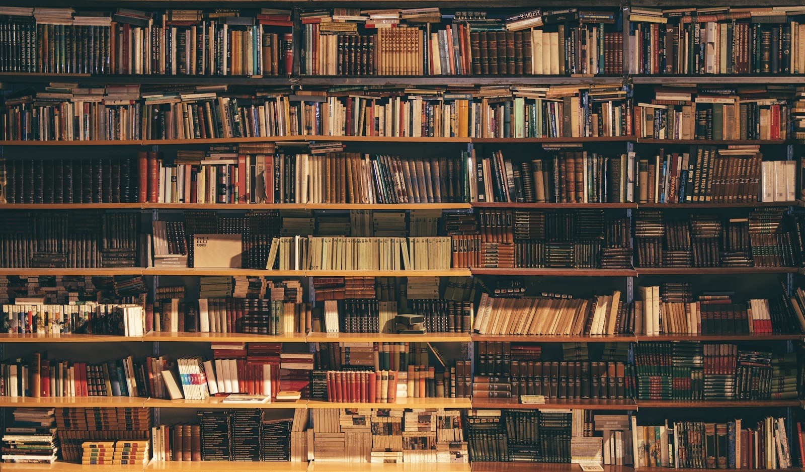 Estantes repletas de livros e registros antigos em um arquivo